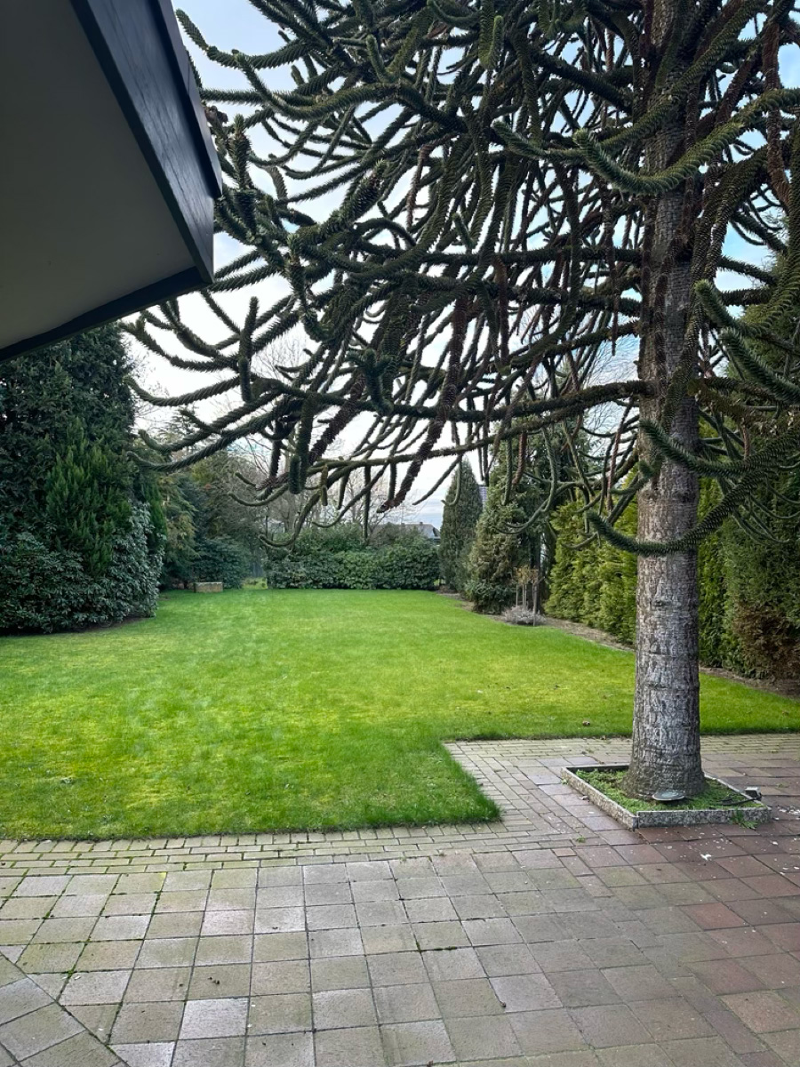 placeholder image-sq